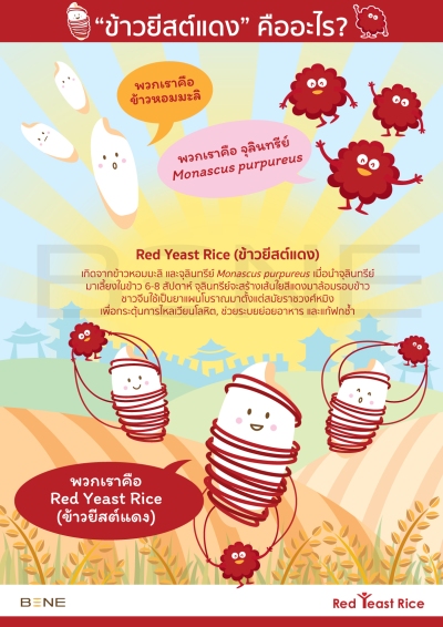 Red-Yeast-Info